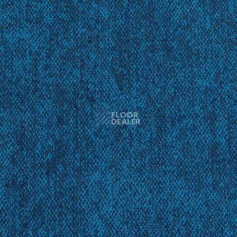 Ковролин Haima Coral 23 фото 1 | FLOORDEALER